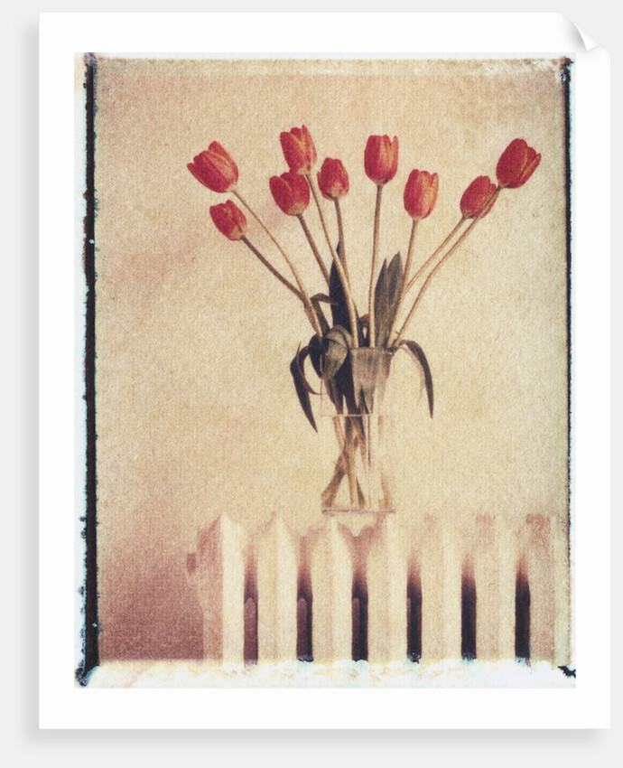 Vase of Tulips on a Radiator by Anonymous