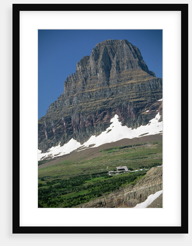 Reynolds Mountain in Summer by Anonymous