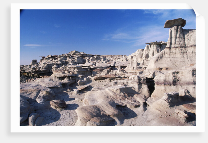 Desolate Canyon of Bisti Wilderness Area by Anonymous