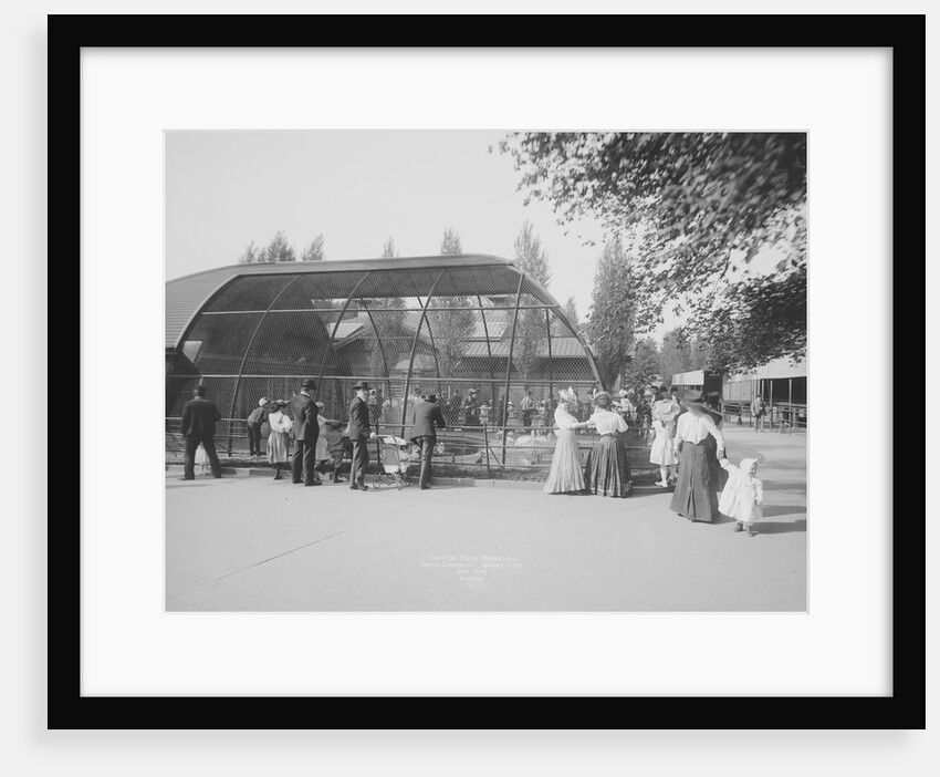 Tourists Visiting Central Park Menagerie by Anonymous