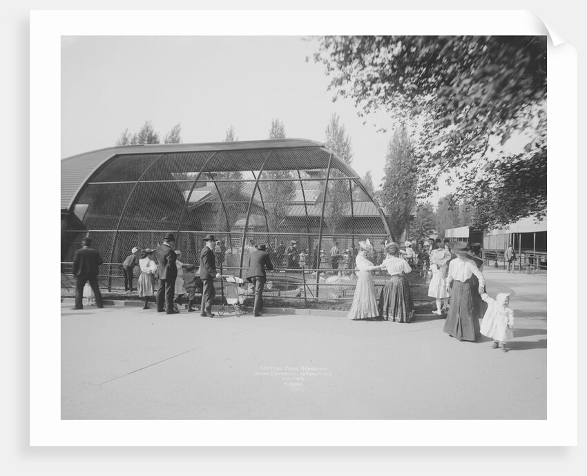 Tourists Visiting Central Park Menagerie by Anonymous