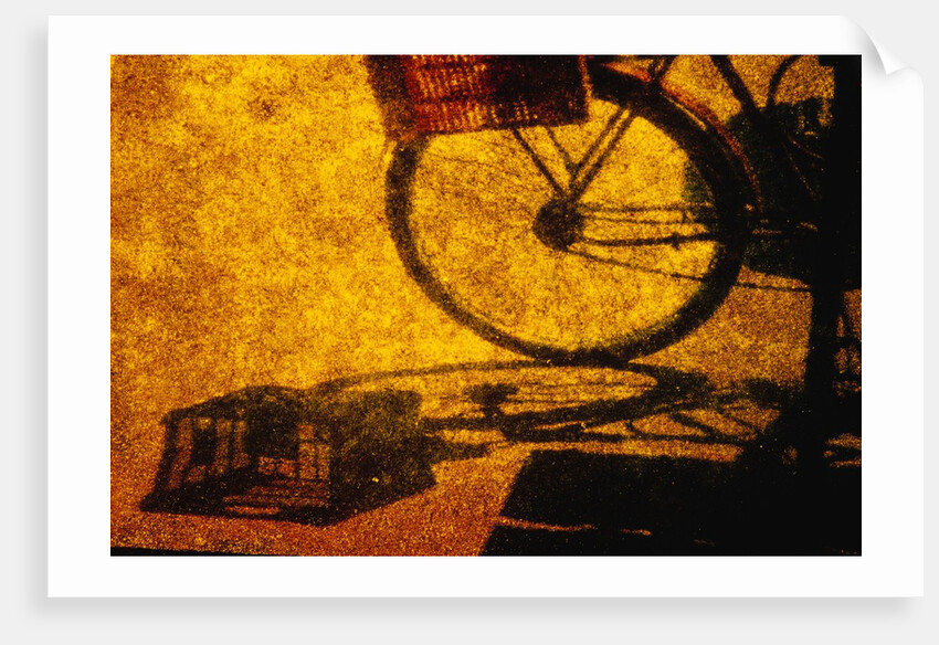 Bicycle Casting Shadow by Anonymous