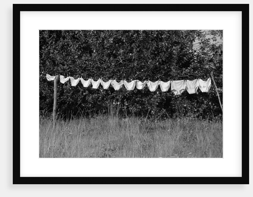 Underwear Hanging to Dry by Anonymous