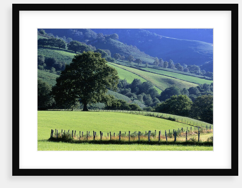 Pays Basques Countryside by Anonymous