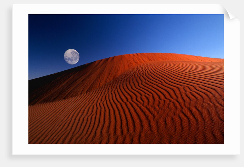 Full Moon over Red Dunes by Anonymous