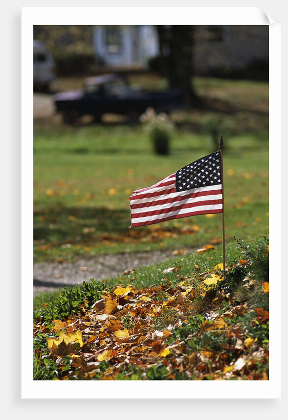 Small American Flag Posted in Yard by Anonymous