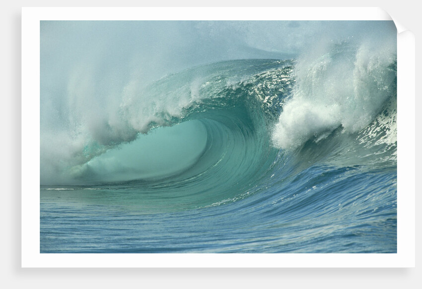 Shorebreak Waves in Waimea Bay by Anonymous