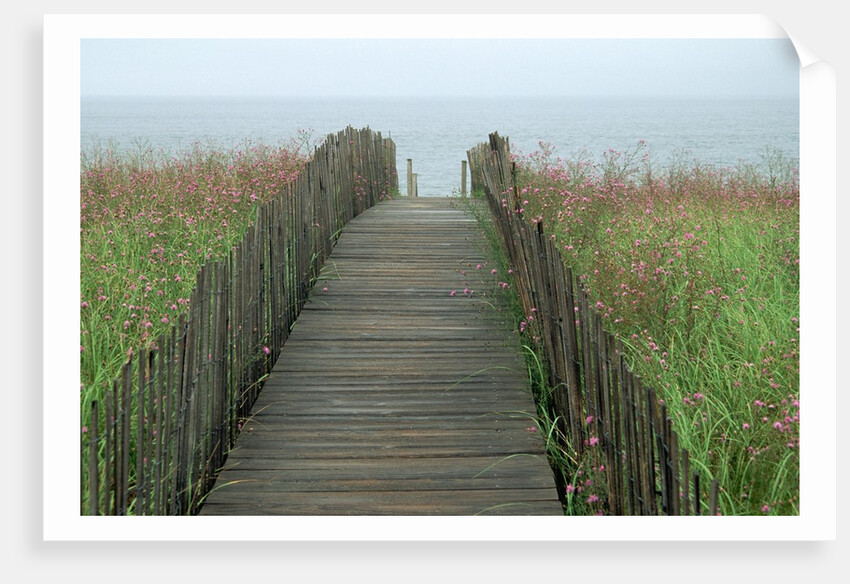 Wooden Walkway to Beach by Anonymous