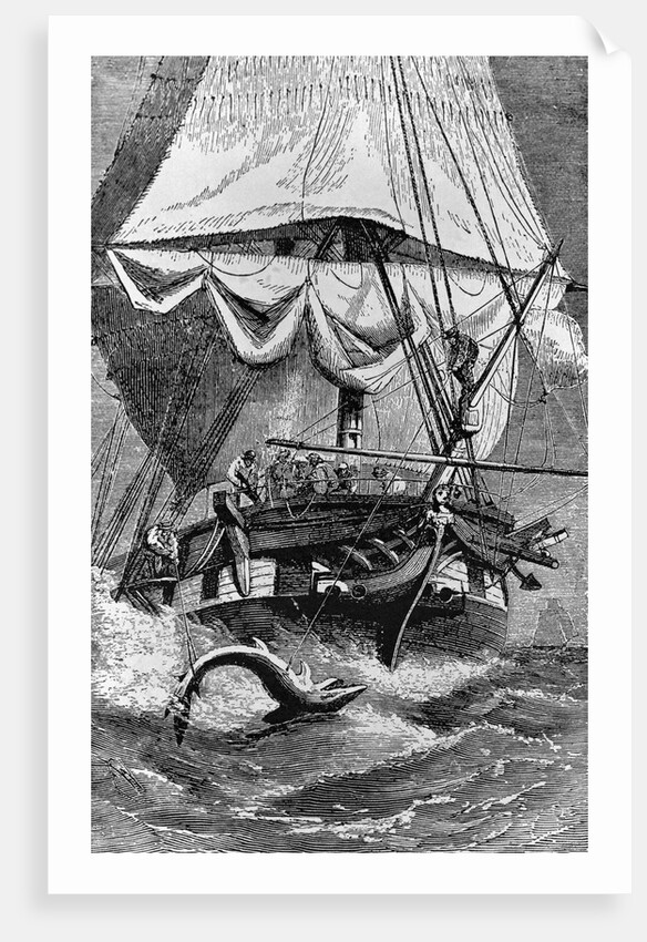 Crew of Charles Darwin's Ship Shark Fishing by Anonymous