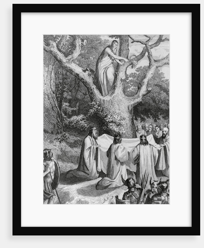 Druids Collecting Mistletoe to Symbolize Peace by Anonymous