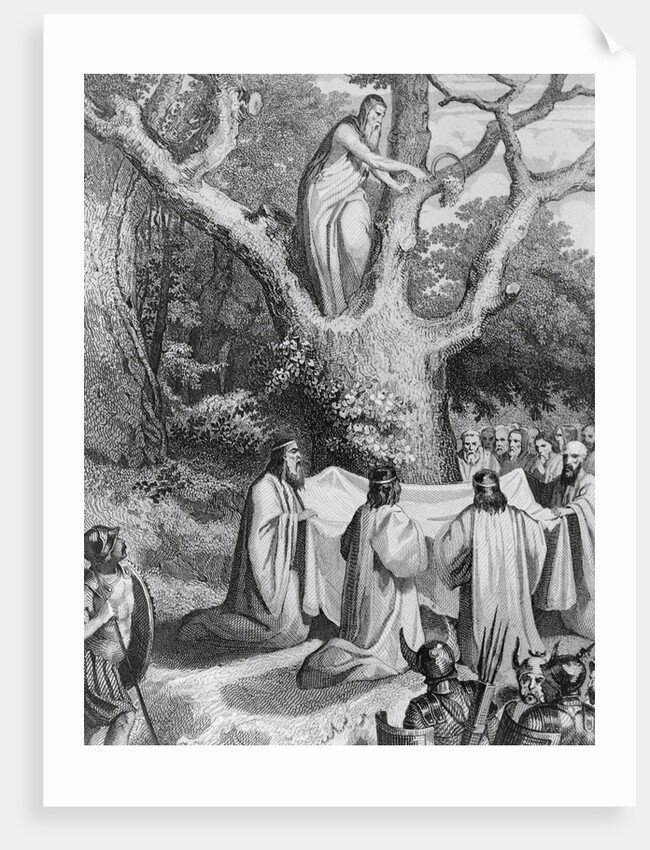Druids Collecting Mistletoe to Symbolize Peace by Anonymous