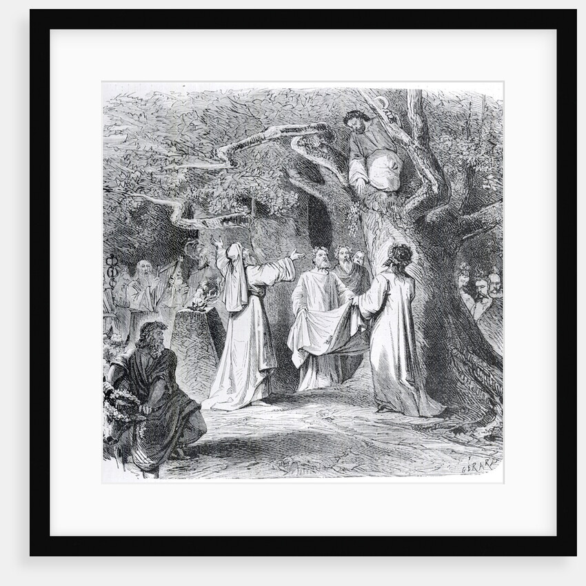Illustration of Druid Throwing Mistletoe by Anonymous