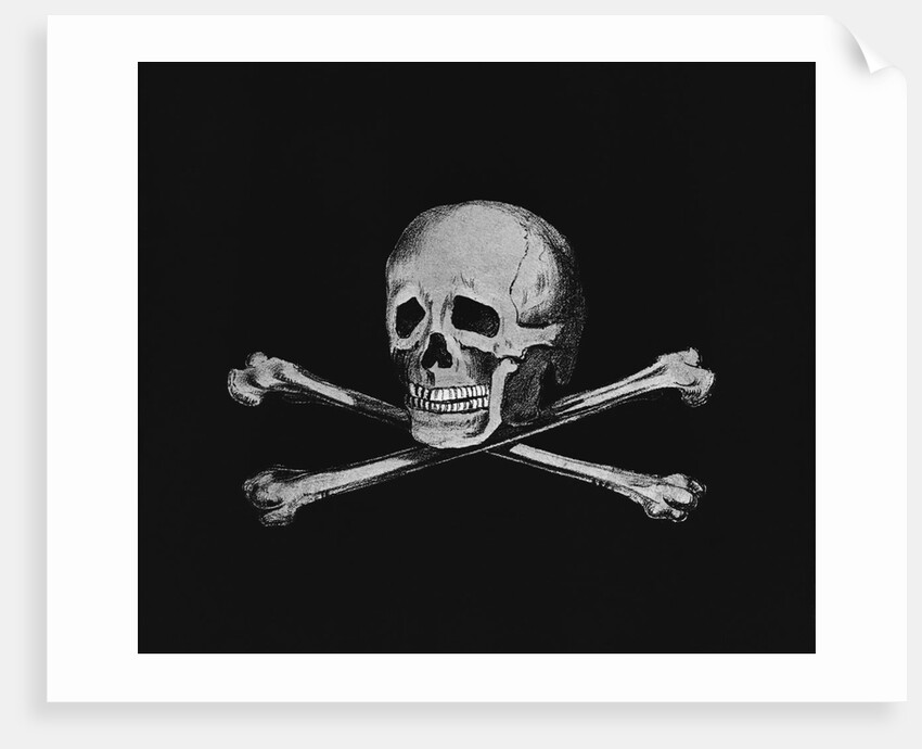 Skull and Crossbones by Anonymous