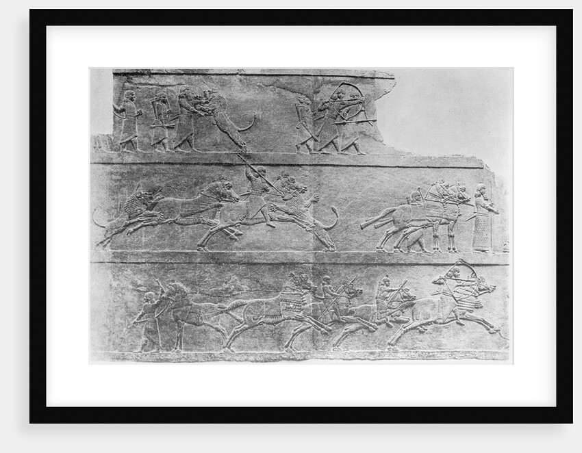 King Ashurbanopal Hunting Lions by Anonymous