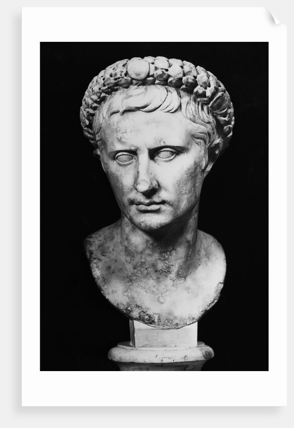 Bust of Augustus by Anonymous