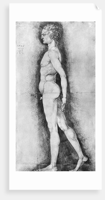 Albrecht Durer Study of Male Anatomy by Anonymous