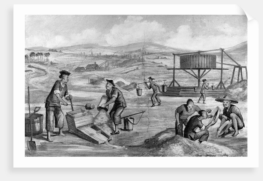 Immigrants Panning for Gold by Anonymous