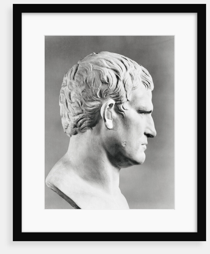 Head of Agrippa Sculpture by Anonymous