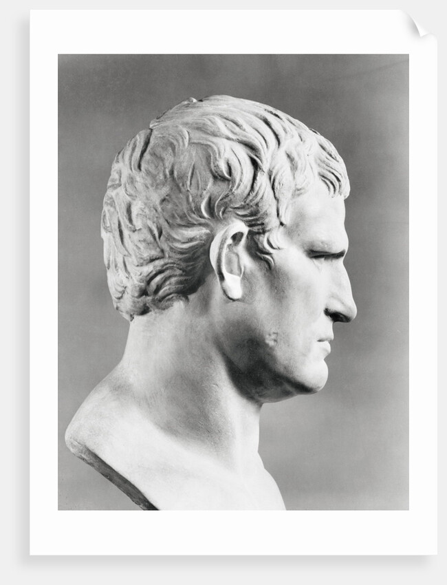 Head of Agrippa Sculpture by Anonymous