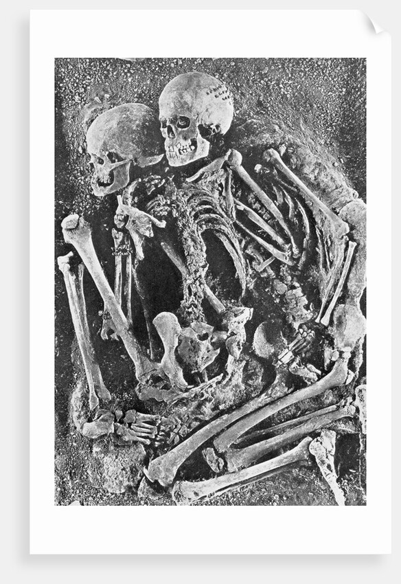 Skeletons from Grimaldi-Grotto by Anonymous