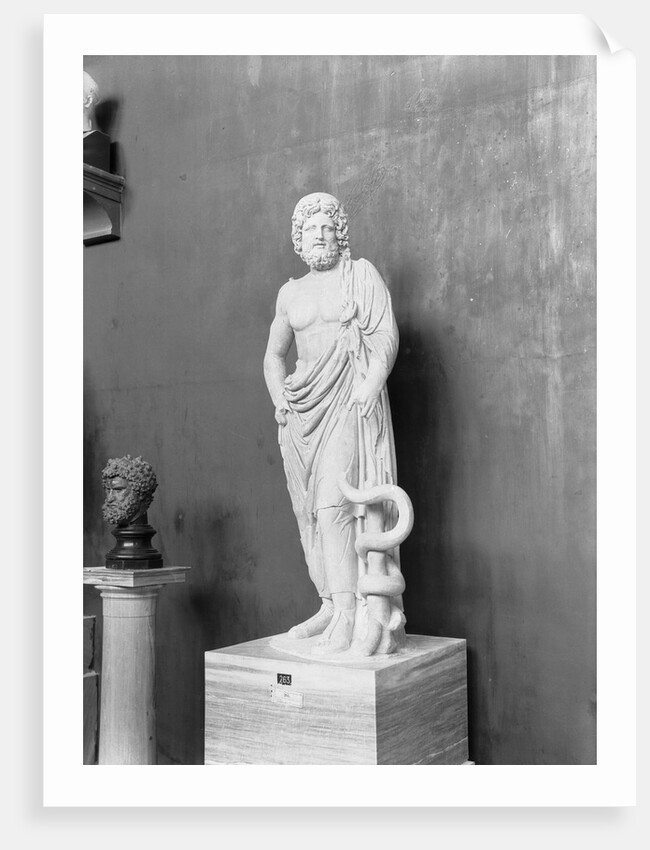 Display of Aesculapius Statue by Anonymous