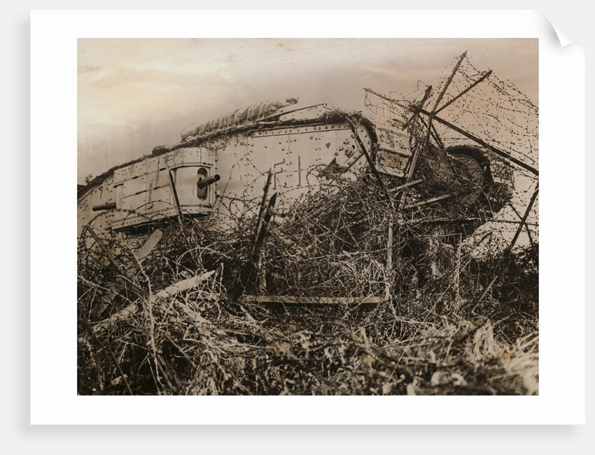 Tank Caught in Barbed Wire Entanglement by Anonymous