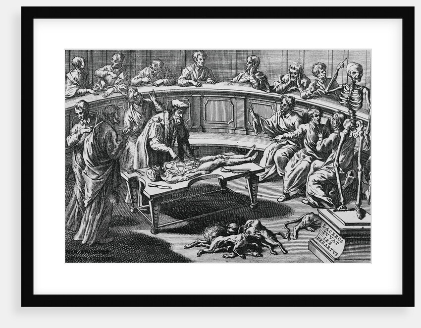 Man Dissecting Corpse at Anatomical Theater by Anonymous