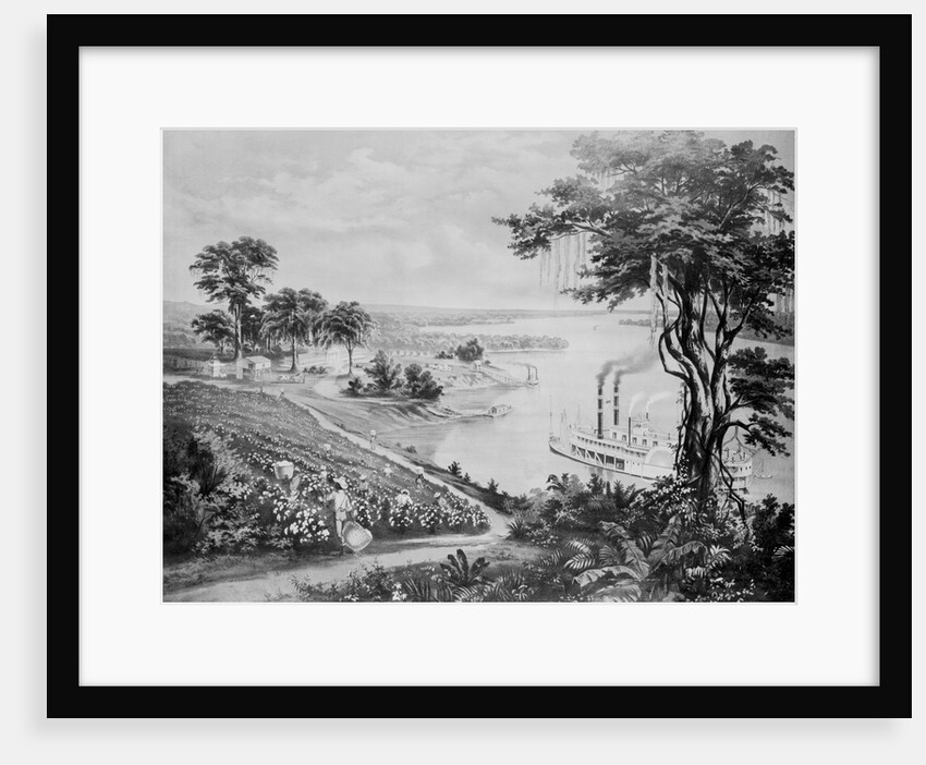 Southern Plantation Scene by Anonymous