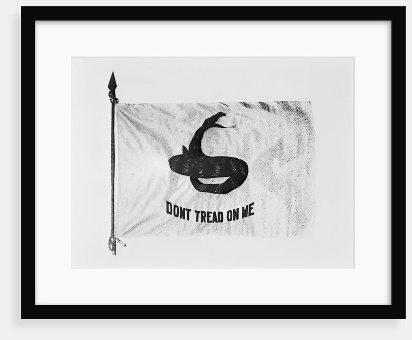 Don't Tread on Me Flag by Anonymous