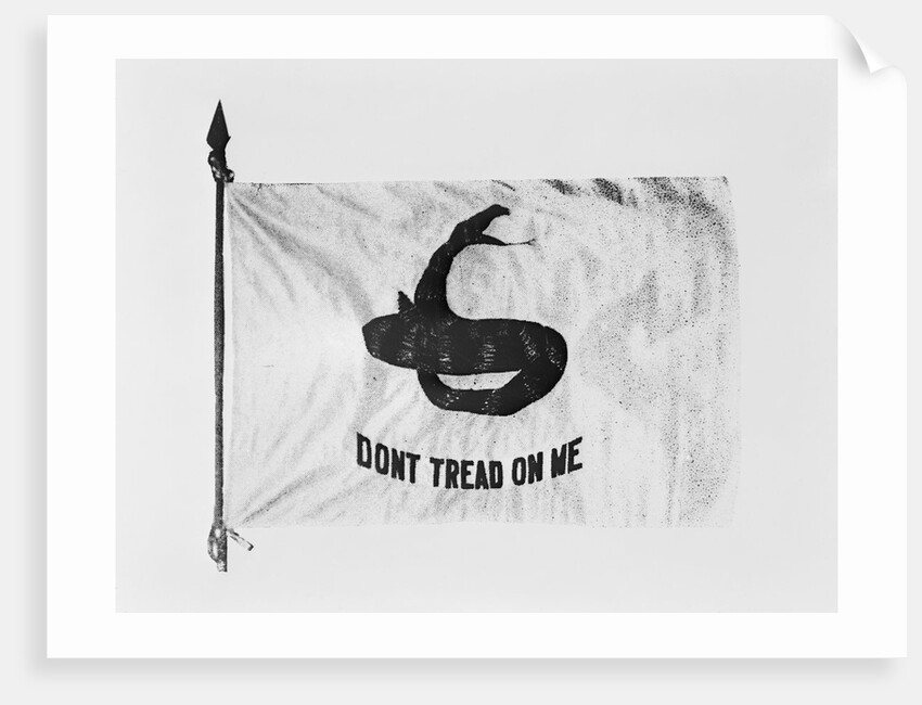 Don't Tread on Me Flag by Anonymous