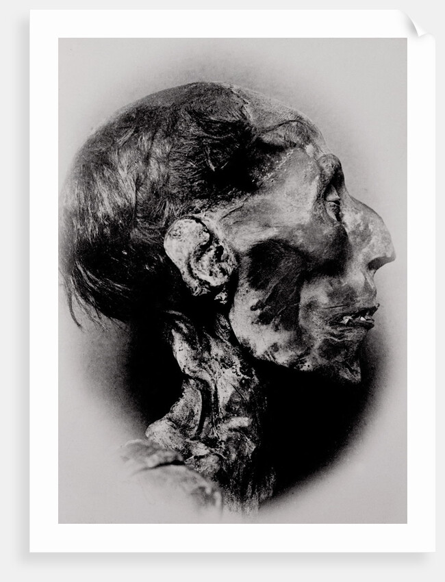 Display of a Mummy's Head by Anonymous
