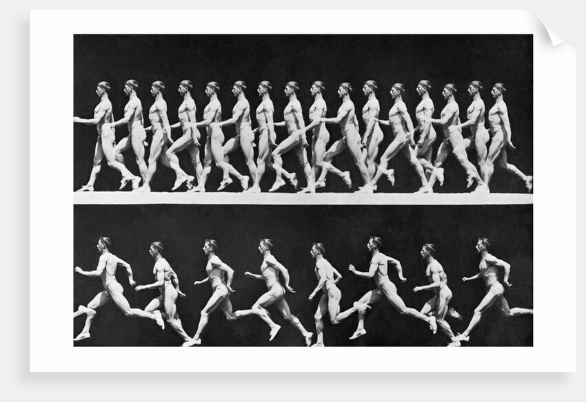 Sequential Frames of Nude Man Walking and Running by Anonymous