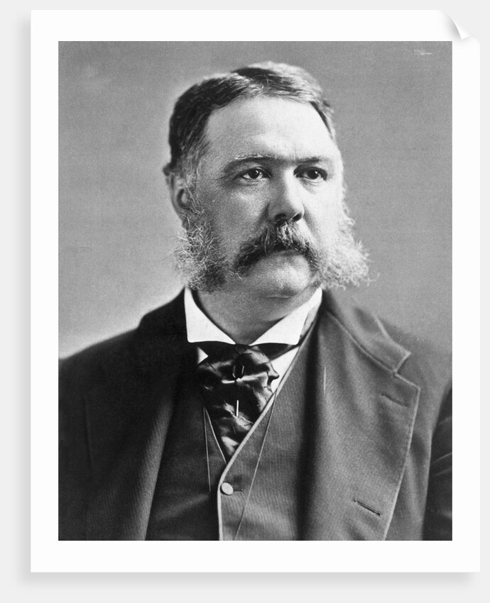 President Chester A. Arthur by Anonymous