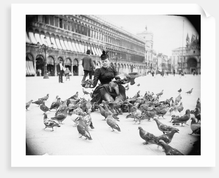 Woman Feeding Pigeons by Anonymous