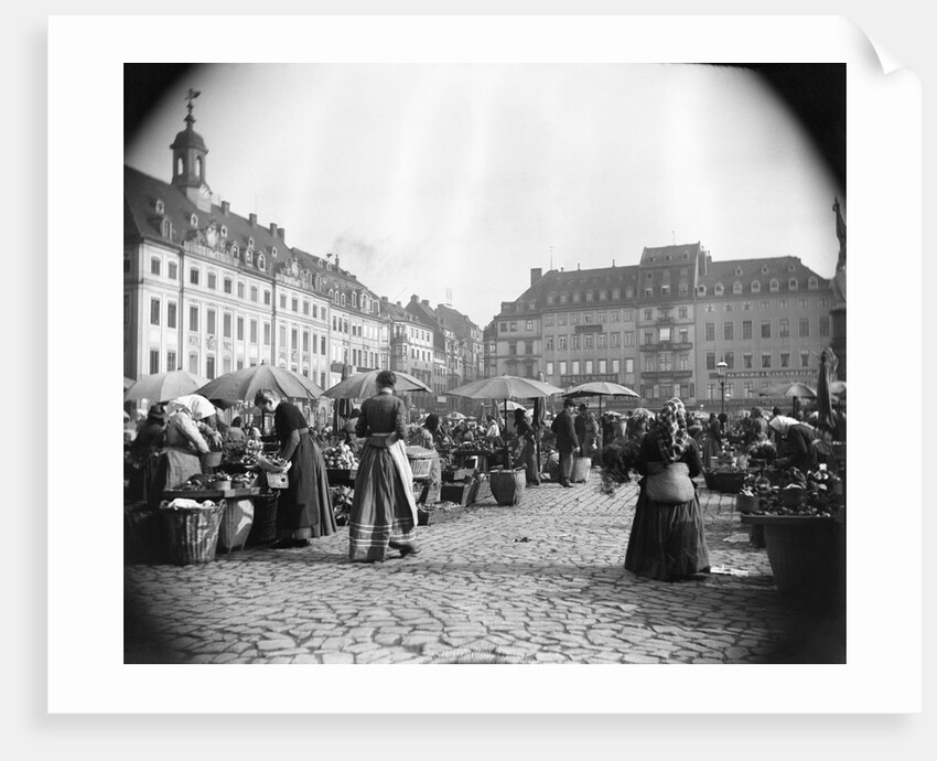 Market Square in Dresden, Germany by Anonymous