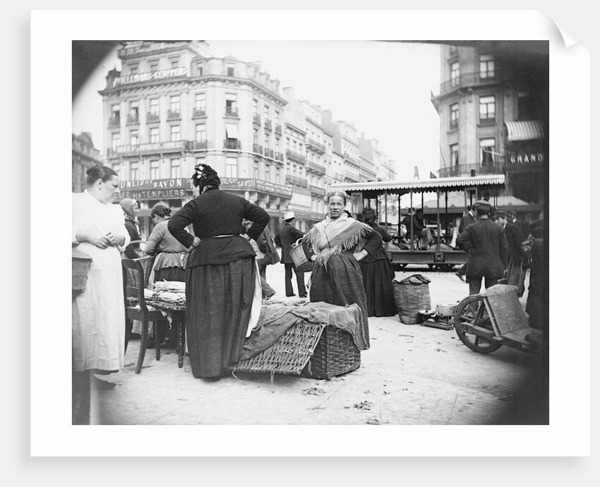 View of Vegetable Merchant by Anonymous