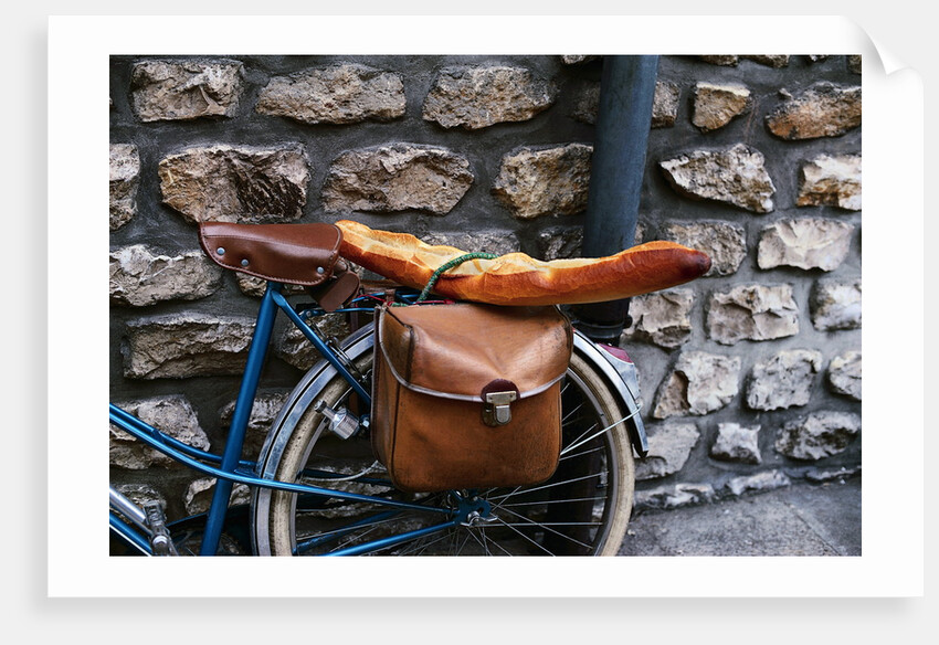 French Bread Strapped to a Bicycle by Anonymous
