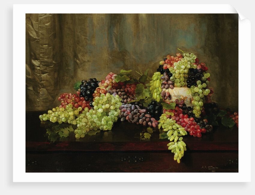Grapes by Alberta Binford McCloskey