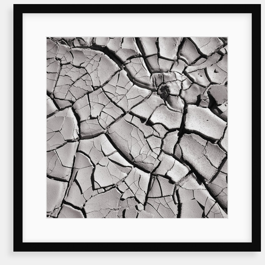 Cracked Desert Mud by Anonymous