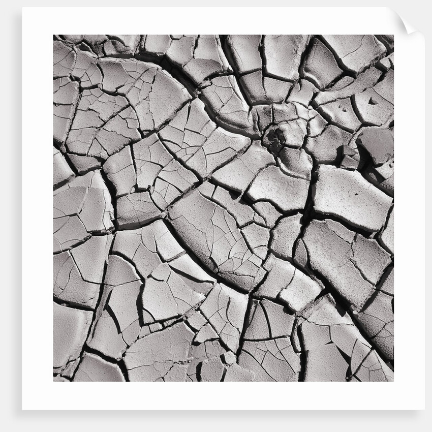 Cracked Desert Mud by Anonymous