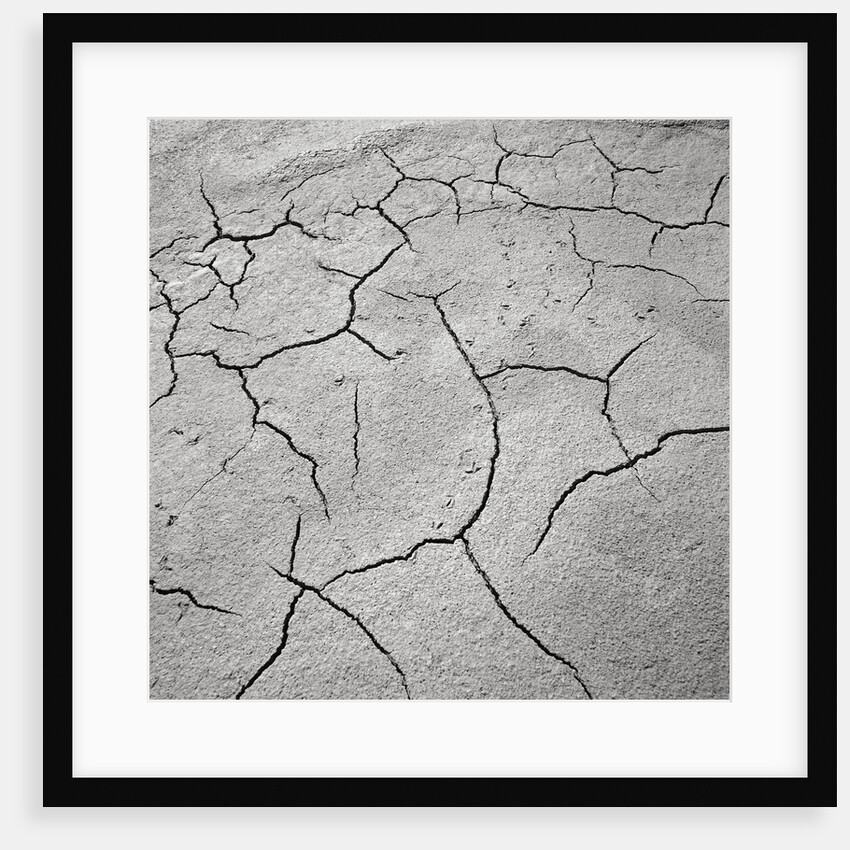 Cracked Desert Mud by Anonymous