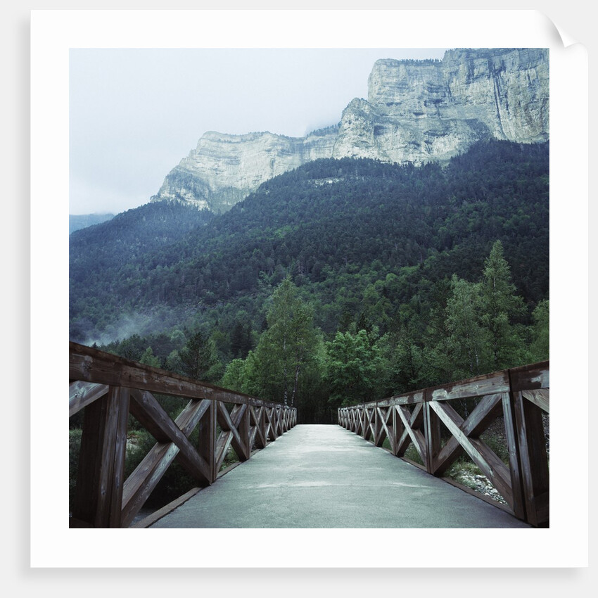 Footbridge Spanning the Base of a Valley by Anonymous