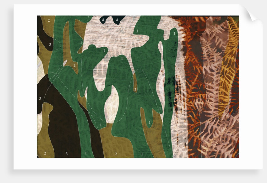 Camouflage Diagram Over Dry Ferns by Anonymous