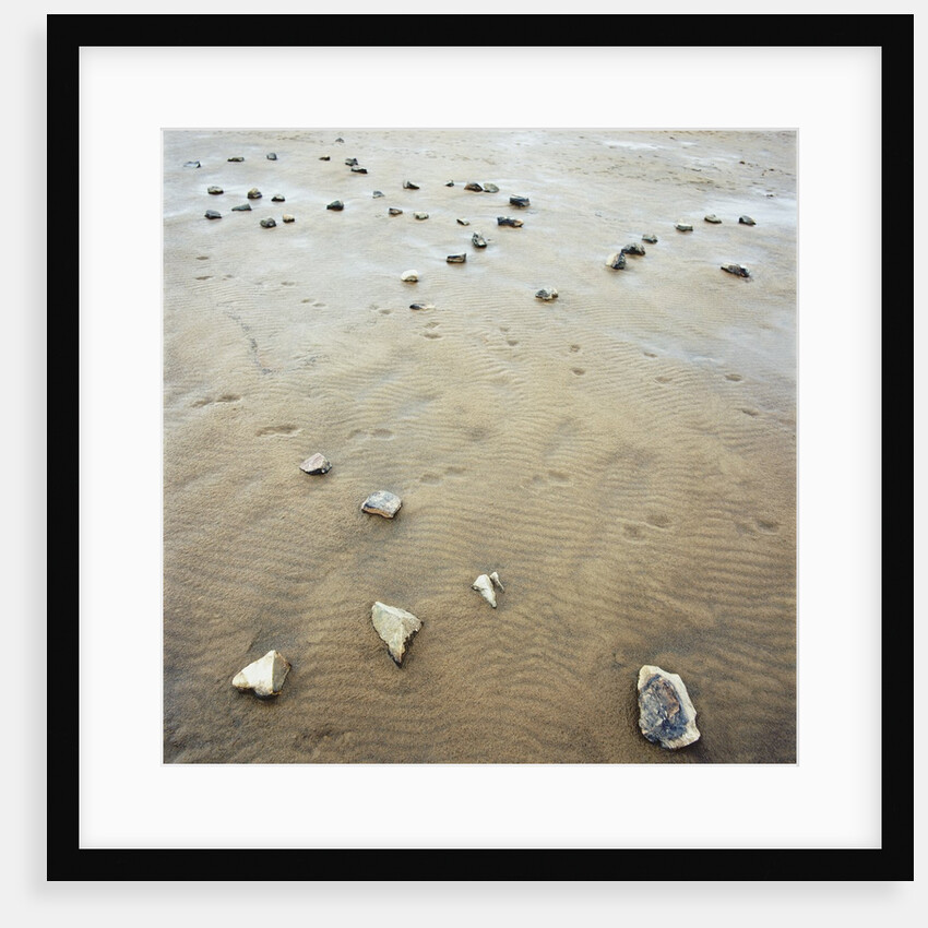 Rock-Strewn Beach by Anonymous