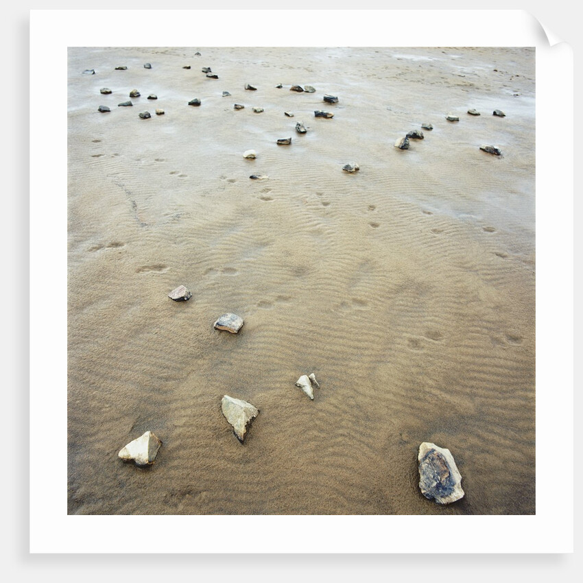 Rock-Strewn Beach by Anonymous