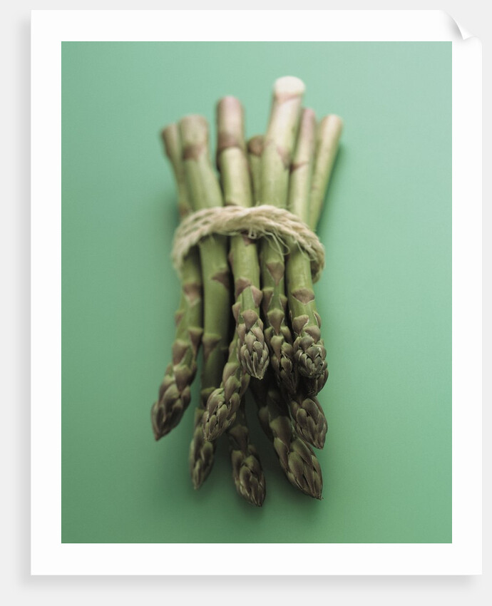Bunch of Asparagus by Anonymous