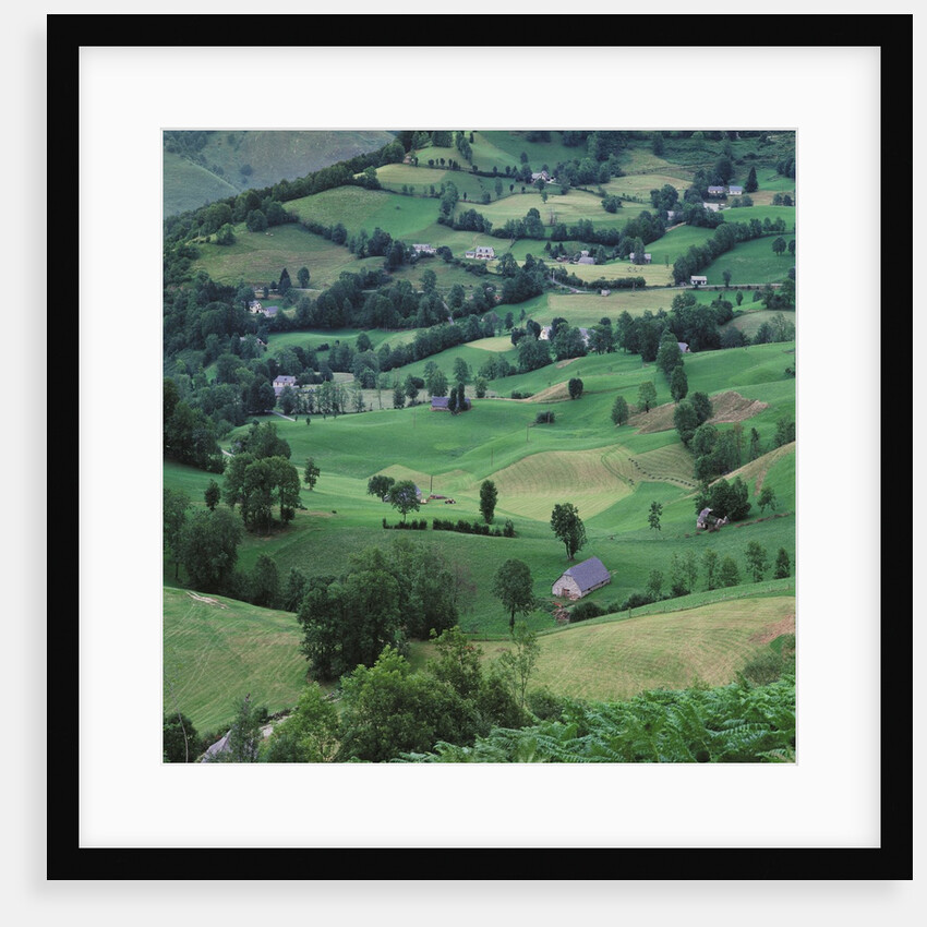 Aerial View of Countryside by Anonymous