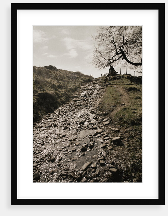 Wet Path Past Countryside by Anonymous