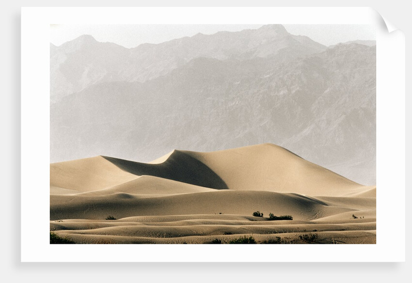 Dunes in the Desert by Anonymous