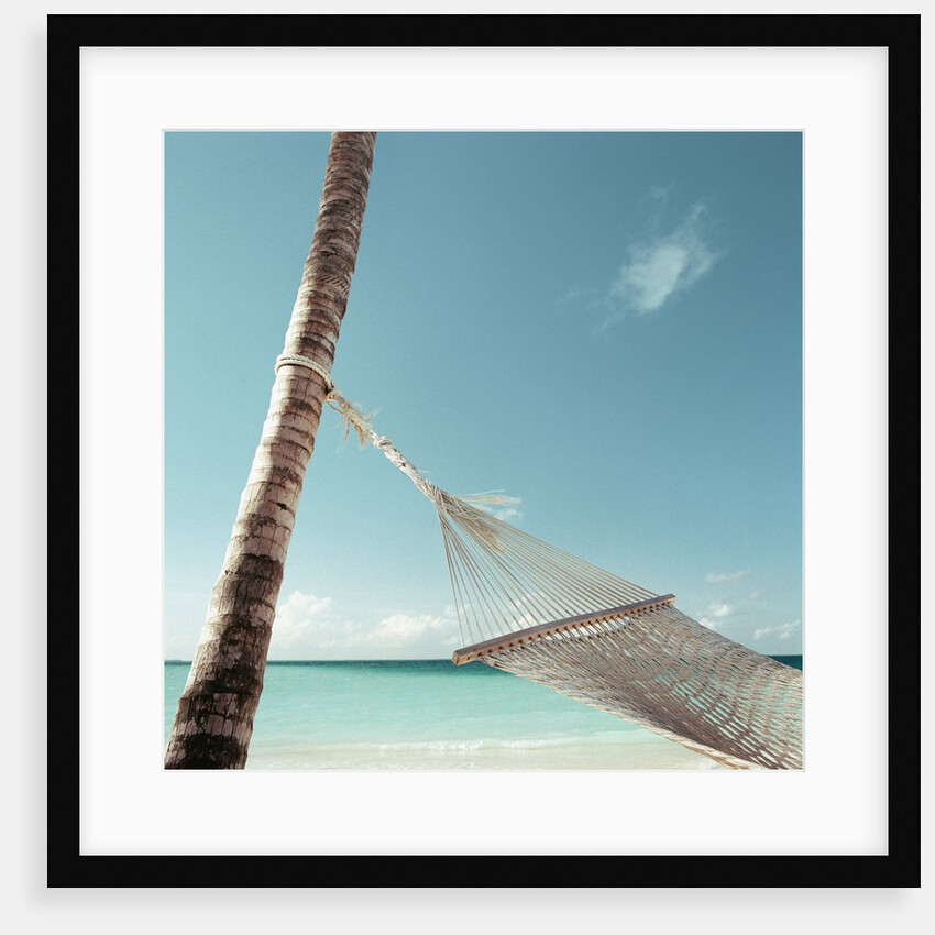 Hammock on Beach by Anonymous